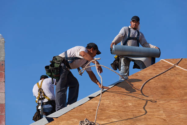 Quick and Trustworthy Emergency Roof Repair Services in Pigeon, MI