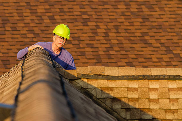Best Roof Gutter Cleaning  in Pigeon, MI