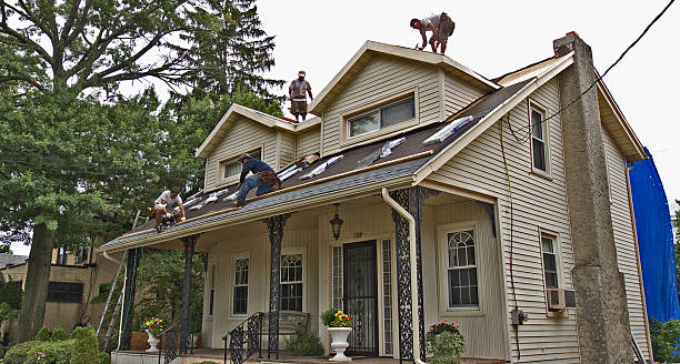 Best Affordable Roof Replacement  in Pigeon, MI