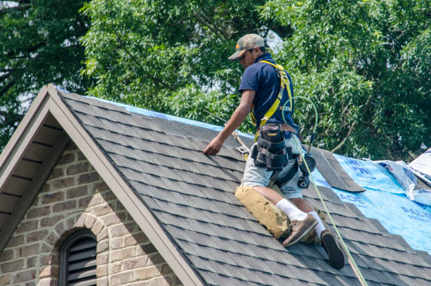 Gutter Installation and Roofing in Pigeon, MI